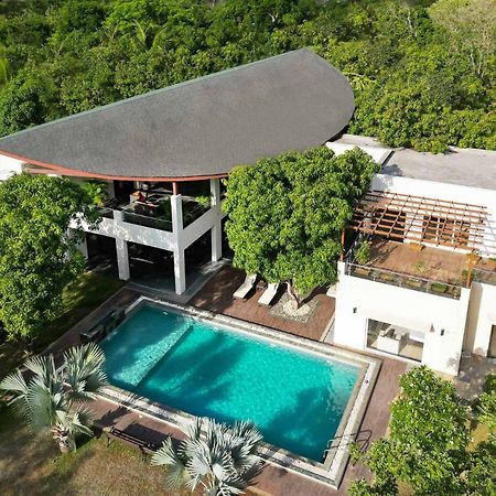 The Leaf By Stayvista - An Enchanting Escape Offering A Pool, Terrace, Lush Lawn, Contemporary Interiors, And Indoor Games 阿里巴格 外观 照片