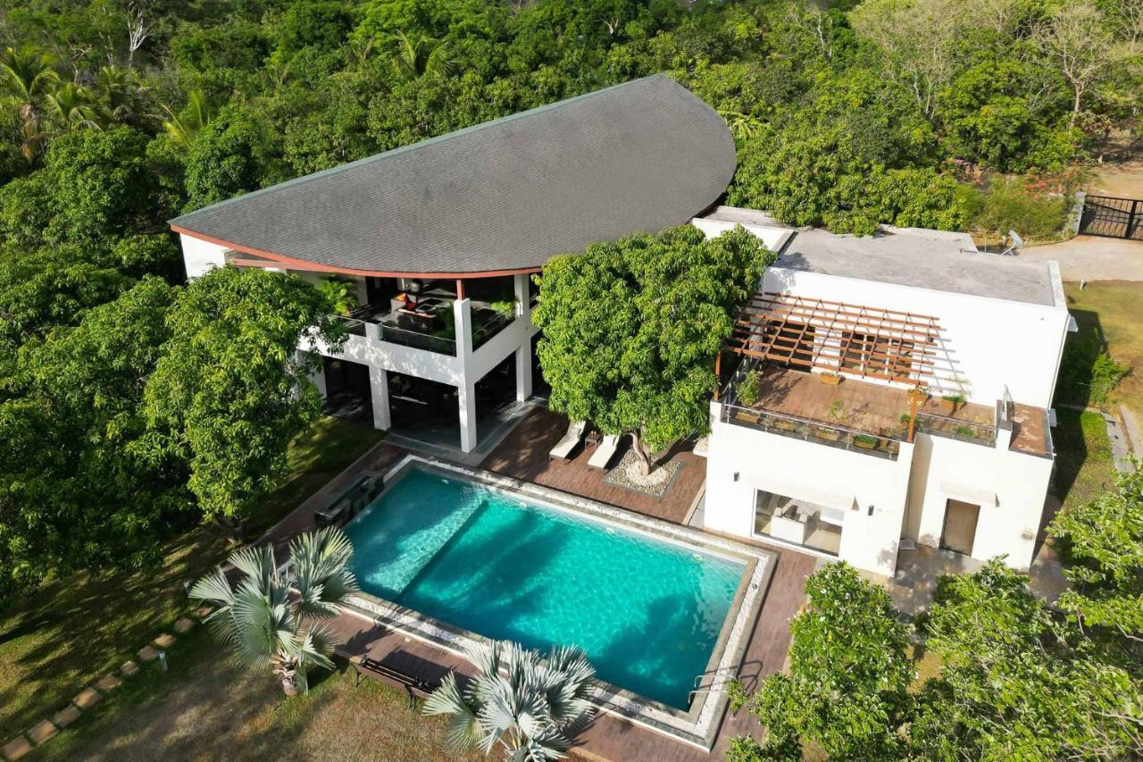 The Leaf By Stayvista - An Enchanting Escape Offering A Pool, Terrace, Lush Lawn, Contemporary Interiors, And Indoor Games 阿里巴格 外观 照片